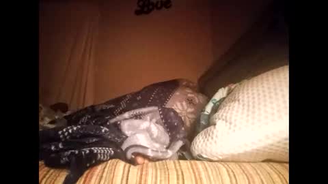 swollenclitneedsdad online show from February 15, 9:52 am