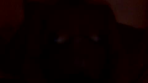 stella3kst online show from March 27, 11:44 am