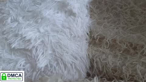 tia_j online show from January 16, 11:58 am