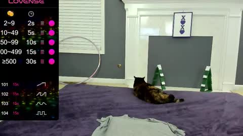 V - Read the bio please thanks. online show from November 26, 12:33 am