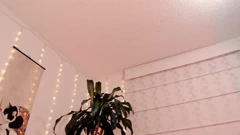 Martina online show from February 28, 2:44 am