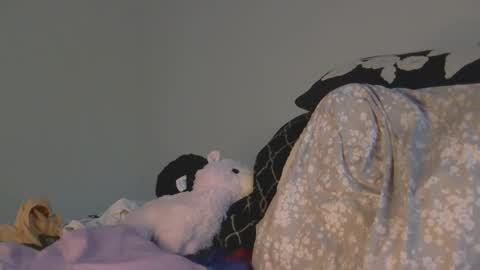 uniqecho online show from March 26, 1:13 pm