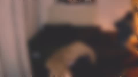 Little Devil online show from December 7, 3:08 pm