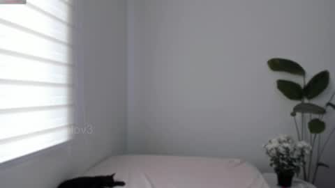 Babi Alu online show from February 7, 7:29 pm