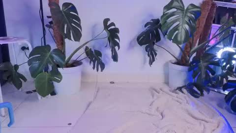 Snapshot of vickygrey1 chatting on October 20, 7:06 pm Vicky Greys online show from October 20, 7:06 pm