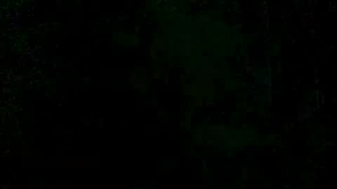 victoriavega307847 online show from August 10, 4:16 am