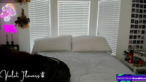 Violet Flowers online show from April 22, 3:09 pm