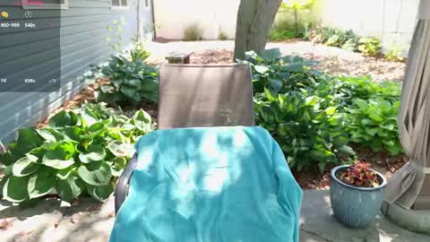 Ivy online show from July 7, 3:48 pm