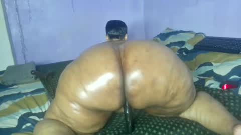 wilmaassylum online show from November 7, 6:30 am