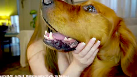 Lily online show from March 4, 4:46 pm