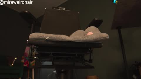 MIRA  online show from February 20, 3:02 pm