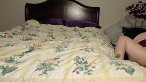 Bambi online show from February 8, 2:26 am