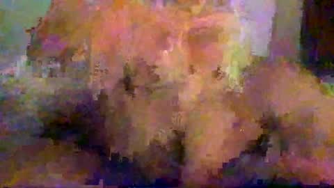 yammiyum online show from January 25, 12:19 pm