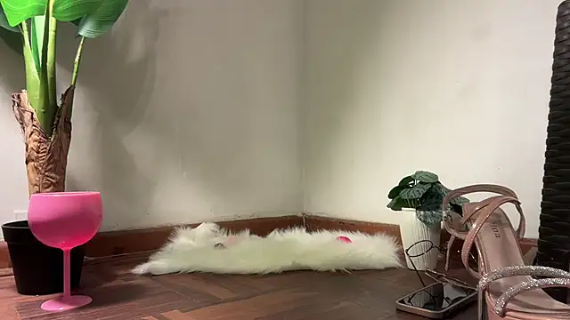 valeria lokitasexy online show from February 2, 3:16 am