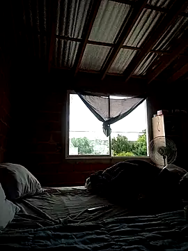 maruli online show from March 14, 7:37 pm