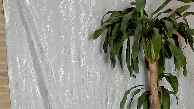 Bellacrox online show from September 20, 12:10 am