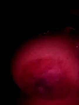 sakshisutra online show from December 14, 8:25 pm