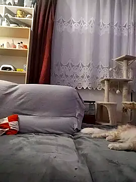 CuteCouple1211 online show from November 2, 3:59 pm