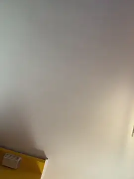 eveangelll online show from February 8, 9:02 am