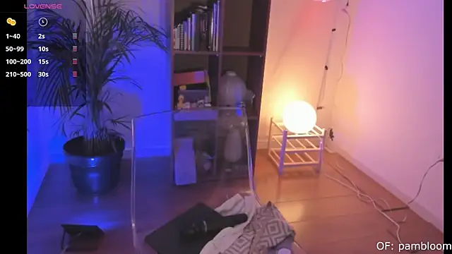 pambloom  online show from November 4, 9:09 pm