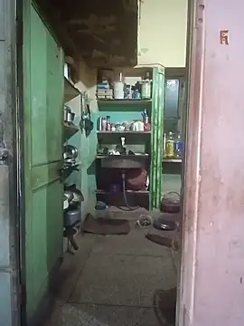 Payel-sharma online show from April 1, 4:35 am