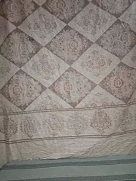 priya  angel online show from November 8, 3:55 am