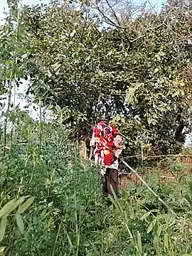 Miss Ayesha online show from February 18, 11:09 am