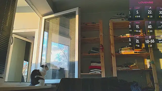 monlight  dana online show from November 22, 1:58 pm