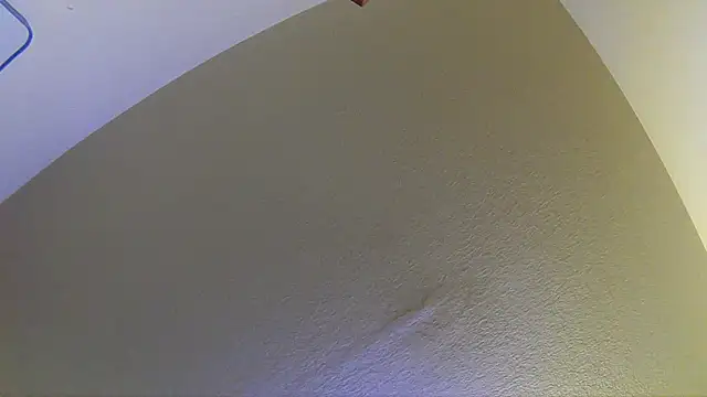 dickparty69xh online show from October 7, 6:01 pm