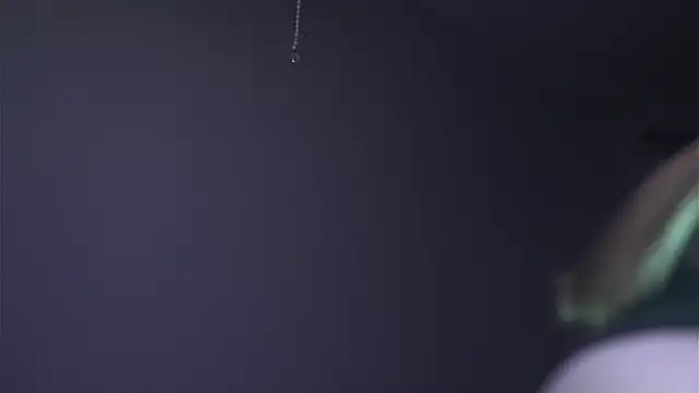 ginger hugs online show from December 21, 10:03 pm