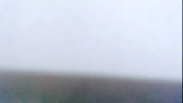 Layla squirt88 online show from November 24, 1:46 pm