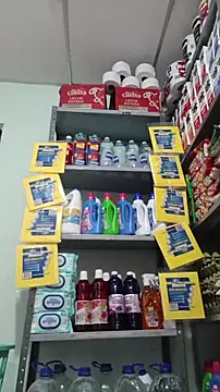 Queen lorena online show from April 9, 1:05 pm