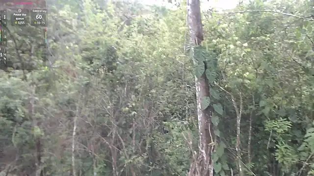 andreu mature online show from December 1, 8:22 pm