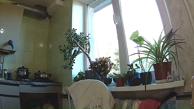 Snapshot of BroadFantasy chatting on September 11, 1:22 pm BroadFantasy online show from September 11, 1:22 pm