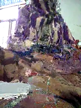 FeltedEuropium online show from December 18, 8:08 am