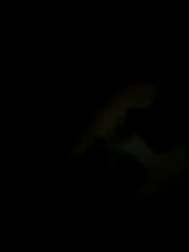 Johndoe2292 online show from November 29, 8:46 pm