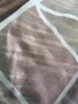 rohitlov150 online show from March 16, 10:19 am