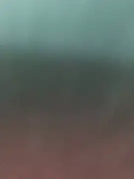 Stefyrossy online show from February 13, 2:30 pm