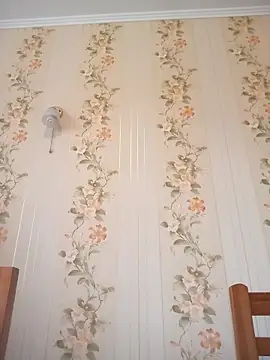 PanbaPanna online show from March 25, 12:08 pm