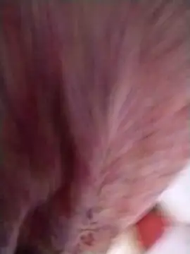 Pushpavathi 78 online show from April 13, 12:28 pm