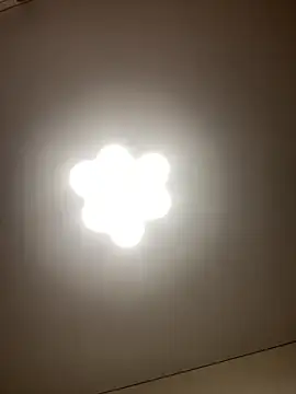 Janet Welder online show from December 20, 1:42 am