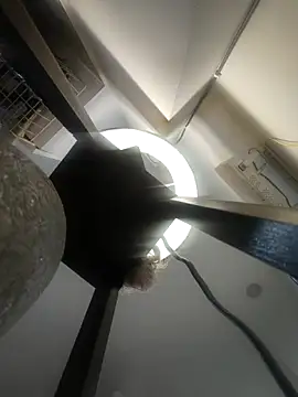 Archi-07 online show from April 13, 6:41 pm