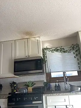 spicysugar74 online show from February 6, 8:23 pm