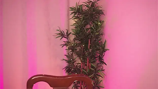 Tony Wylie online show from February 9, 9:06 pm