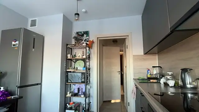 jainesummer online show from February 3, 8:08 am