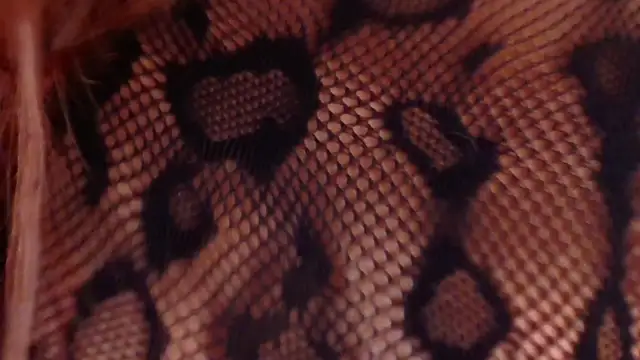 NickyBelmonth online show from September 14, 1:42 pm