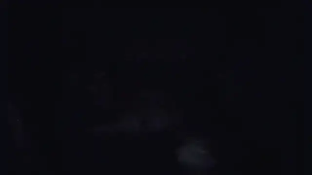 ParaFox online show from September 14, 8:29 pm