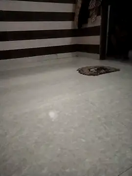 sdfuubjkn online show from April 28, 3:54 am