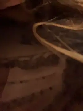 aurora coldd online show from April 11, 9:29 pm