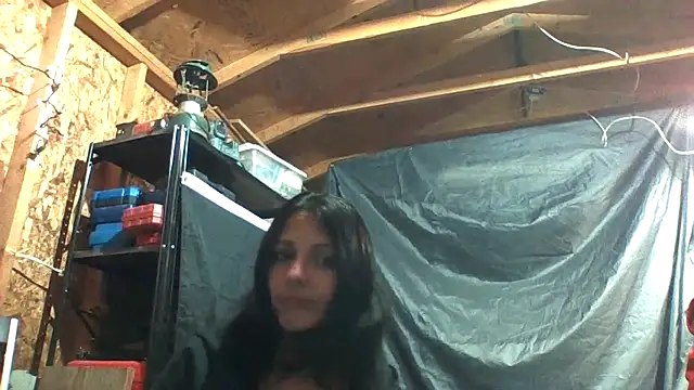 SillyRabbitz online show from November 8, 9:25 am